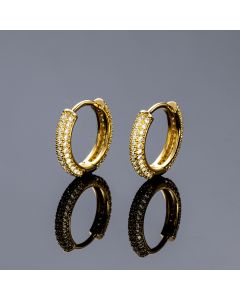 Iced Circle Hoop Earrings in Gold