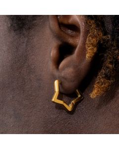 Pentagram Stainless Steel Earrings in Gold