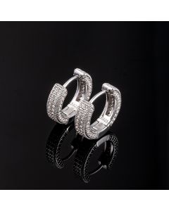 Moissanite Micro Paved Hoop Earrings in S925 Sterling Silver