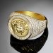 Iced Snake Hair Banshee Ring in Gold