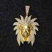 Iced Native American Pendant in Gold