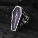 Egyptian Mummy Coffin Stainless Steel Ring